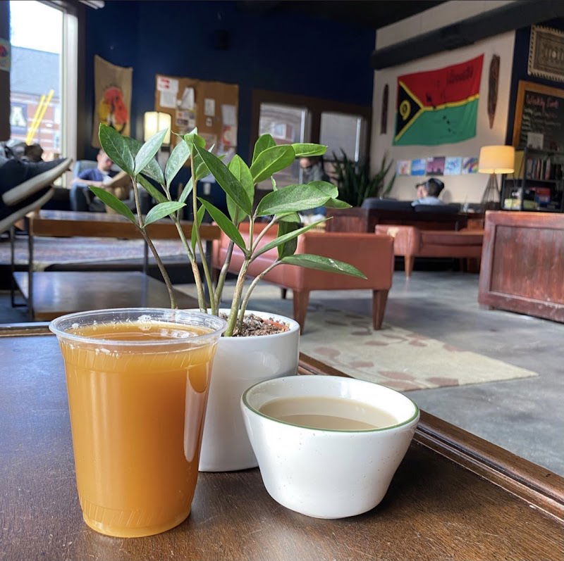 Noble Kava - Kava Bar Experience